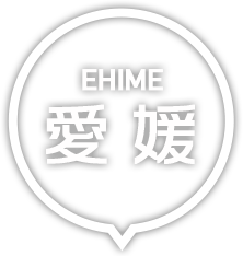 愛媛